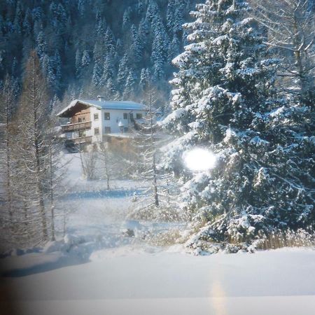 Alpenchalet Steinberg am Rofan Extérieur photo