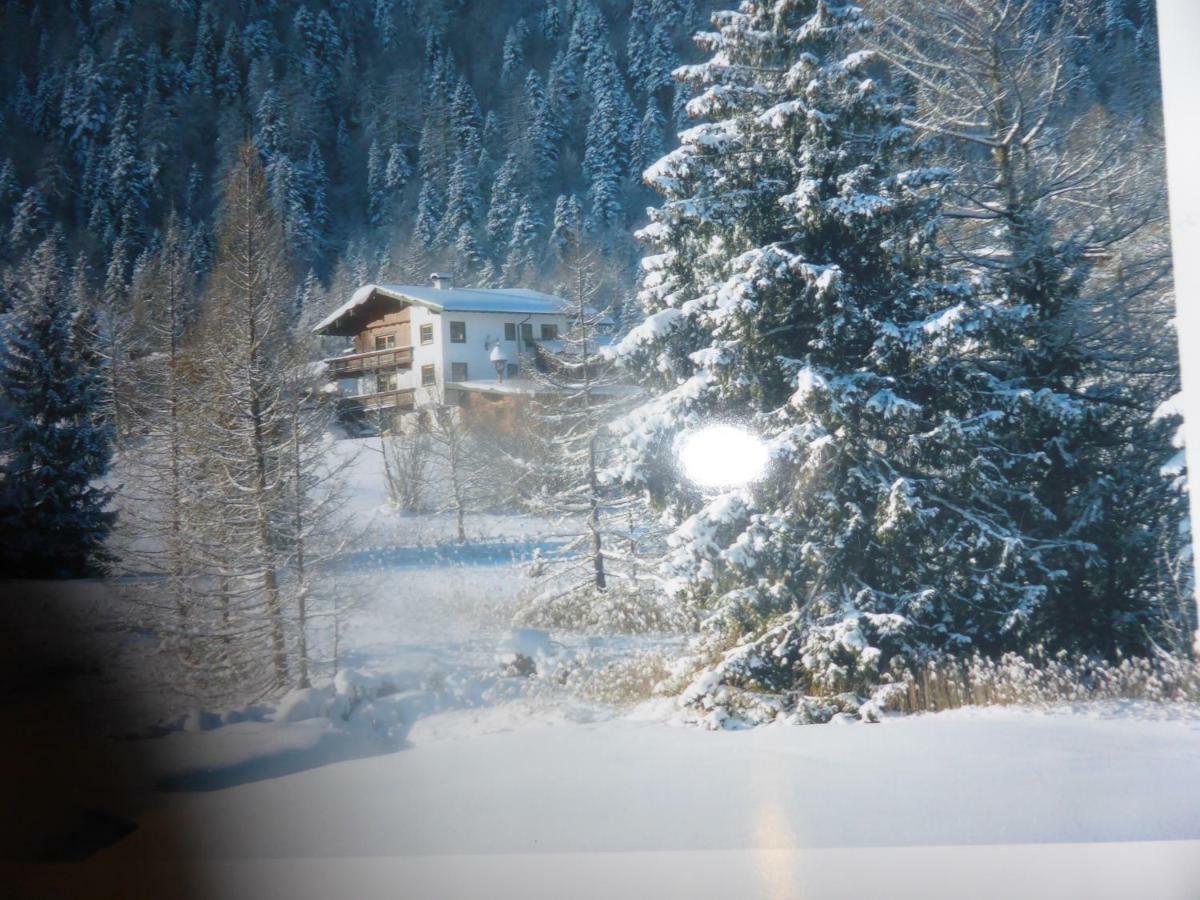 Alpenchalet Steinberg am Rofan Extérieur photo